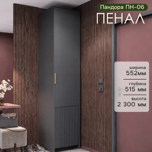 Пенал "Пандора" ПН-06 Графит/Базальт