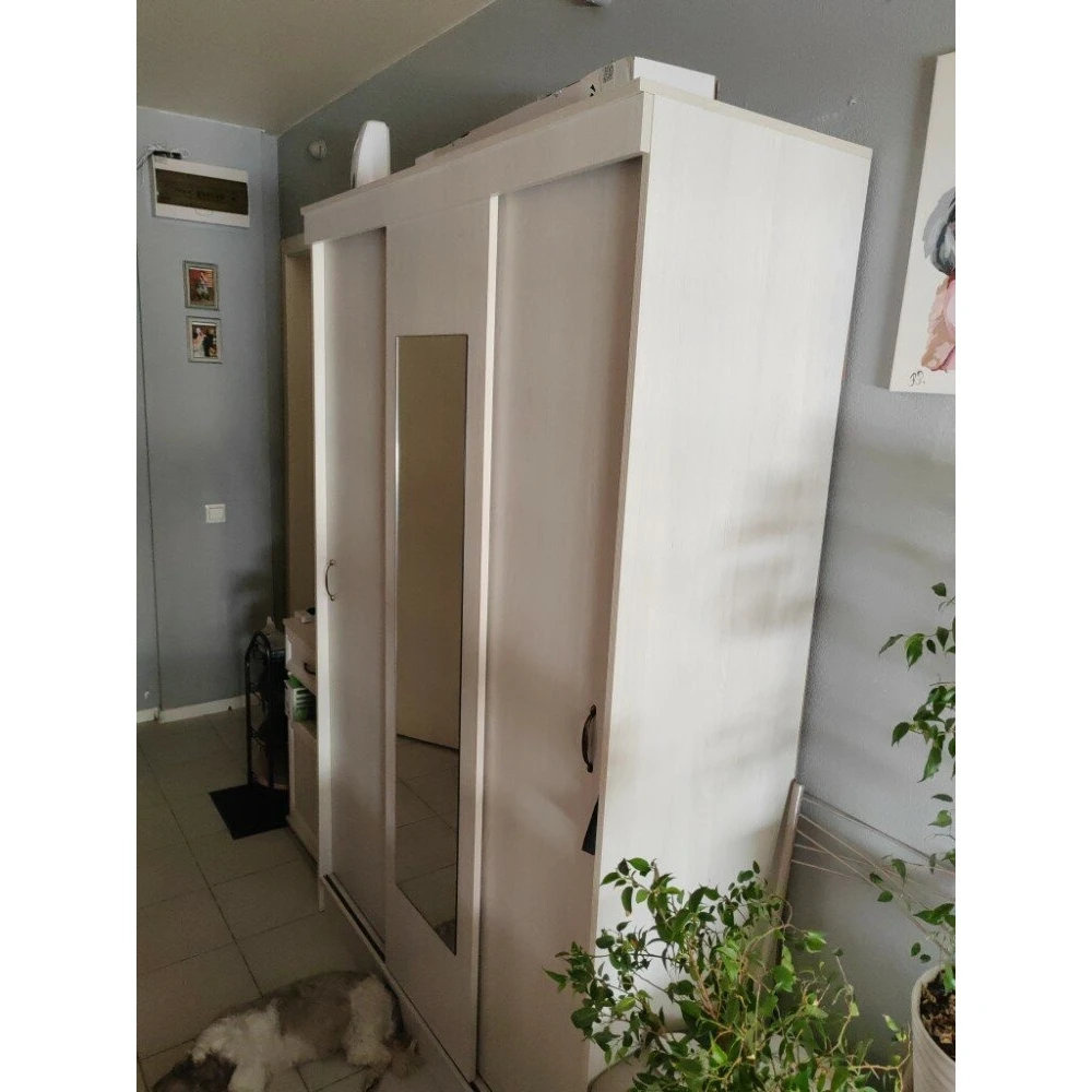 Шкаф-купе "Бруно-5" ЛК Ясень анкор светлый